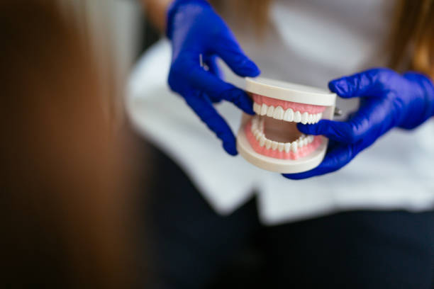 Why Choose Us for Your Dental Needs in Mayo, FL