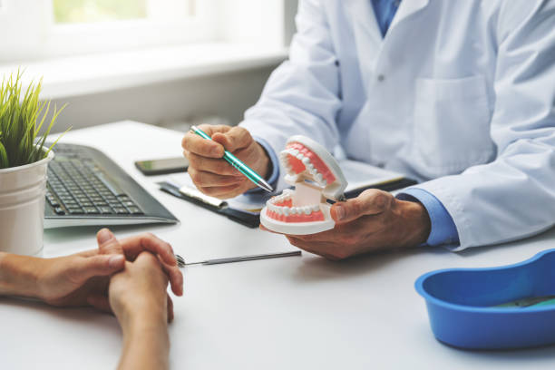 Best Dental Exams and Cleanings  in Mayo, FL